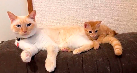 イチそらあめさん