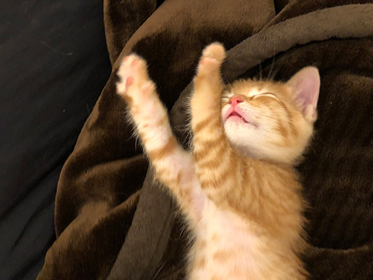 イチそらあめさん