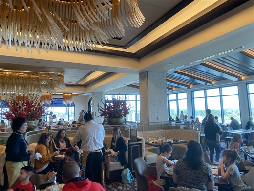 トッポリーノ・テラス