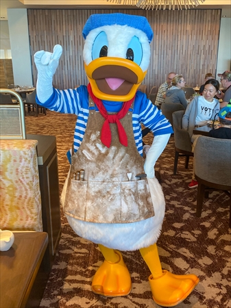 トッポリーノ・テラス ドナルド