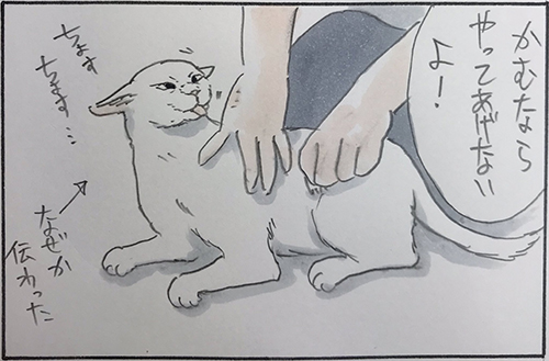 噛むしかなかった2枚目