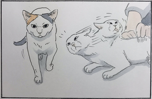 噛むしかなかった3枚目