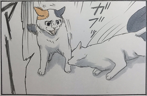 噛むしかなかった4枚目