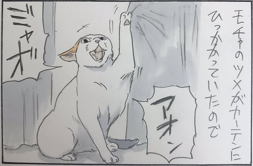 理不尽ねこ