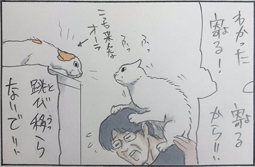 高所のもめごと3枚目