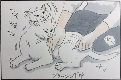 噛むしかなかった1枚目