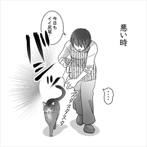 猫の直さん