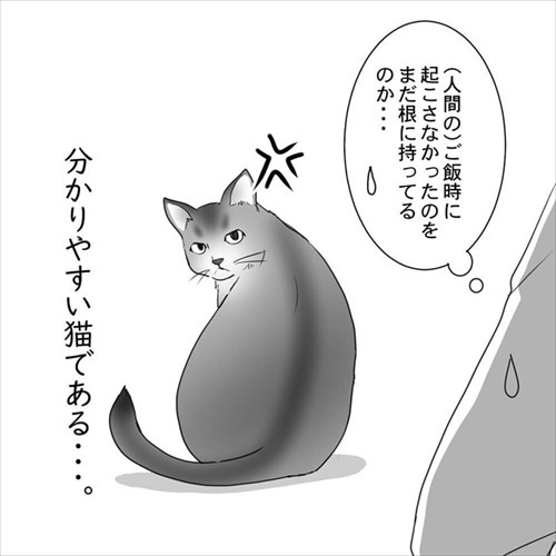 猫の直さん
