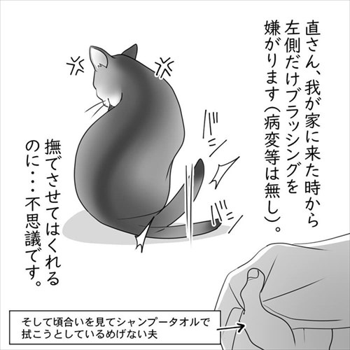 猫の直さん