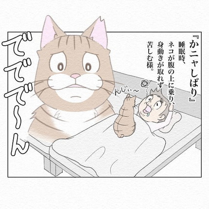 かニャしばり？