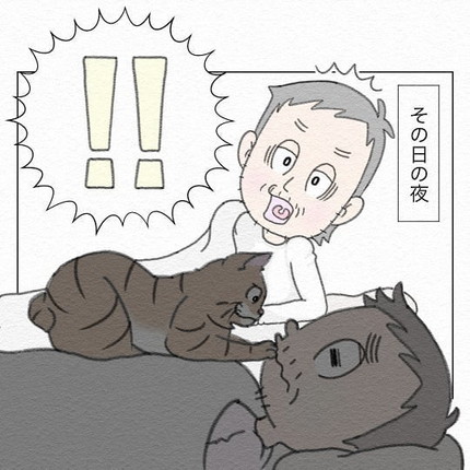 かニャしばり？