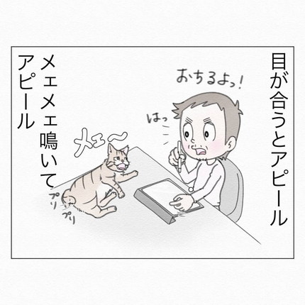 甘えん坊が加速するシャコちゃん