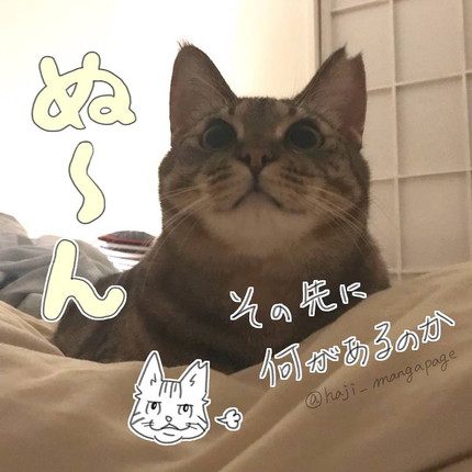 かニャしばり中のシャコちゃんを激写