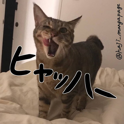 かニャしばり中のシャコちゃん