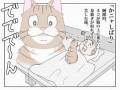 「寝てる時なんだか息苦しい」　猫が夜中に見せた必殺技とは……？　猫との攻防を描いたレポ漫画が面白い