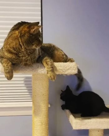 doing this on purpose