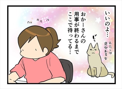 辛抱強い猫
