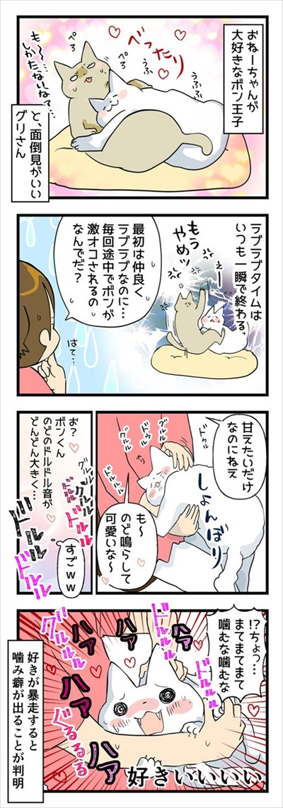 辛抱強い猫ちゃん