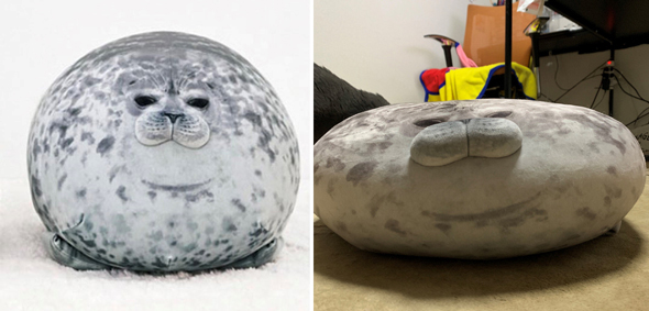 今のアザラシと元のアザラシ