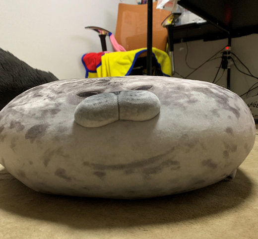 つぶれたアザラシ