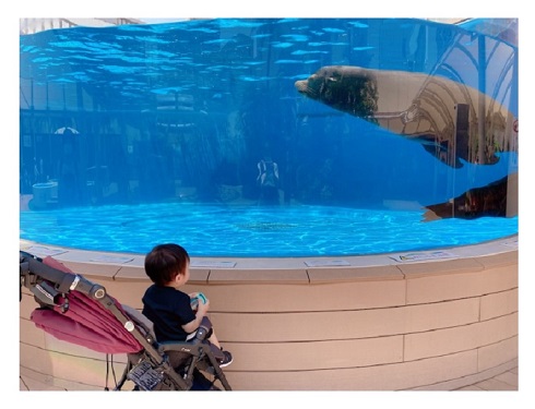 辻希美 幸空 水族館