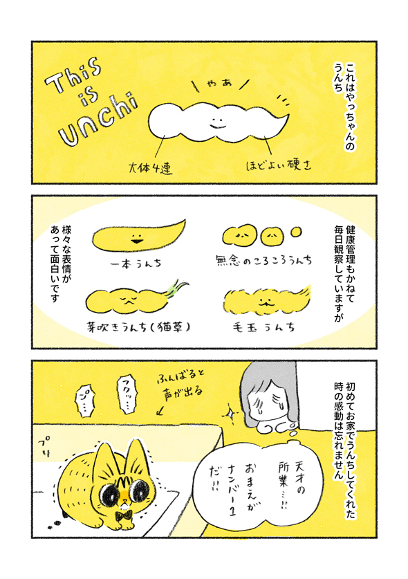 やっちゃんのうんち1