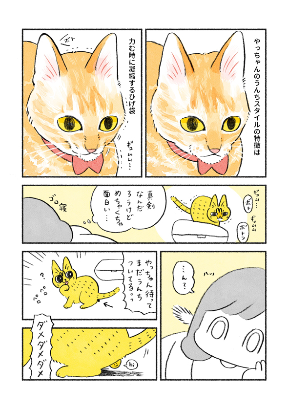 やっちゃんのうんち2