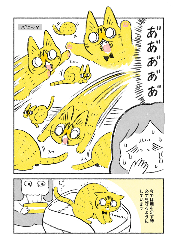 やっちゃんのうんち3