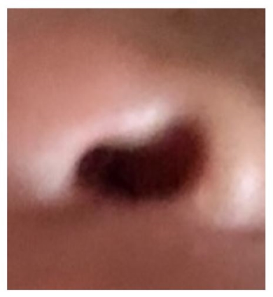 高橋真麻 娘 顔 鼻の穴 似てる