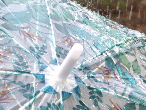 HAPPY CLEAR UMBRELLA