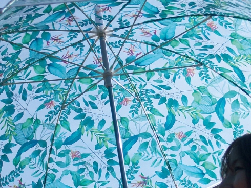 HAPPY CLEAR UMBRELLA
