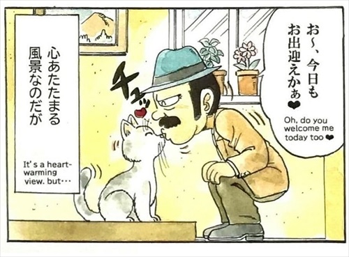 オヤジと猫