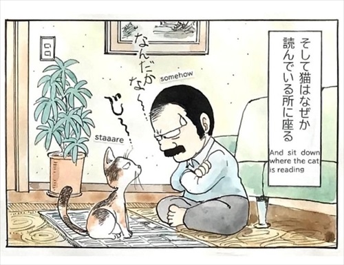 オヤジと猫