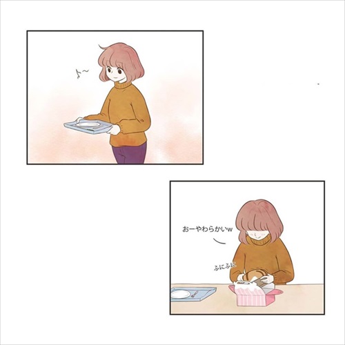 パウンドキャット