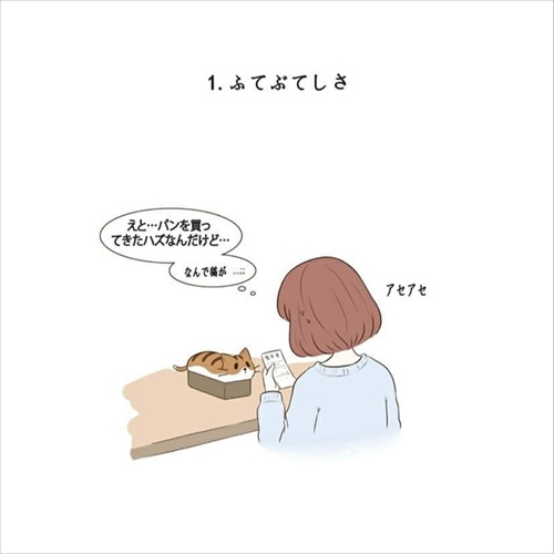 パウンドキャット