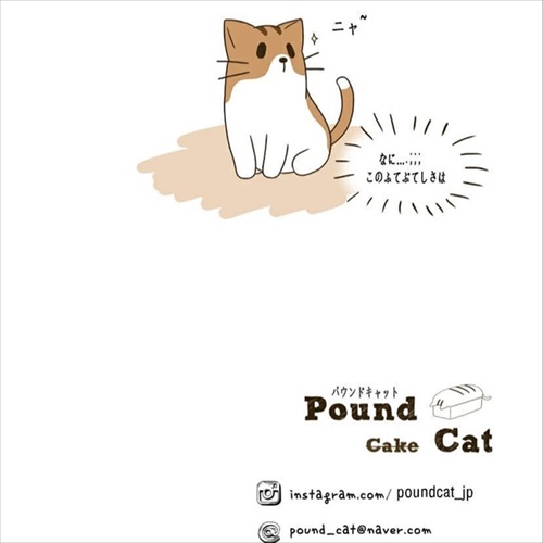 パウンドキャット