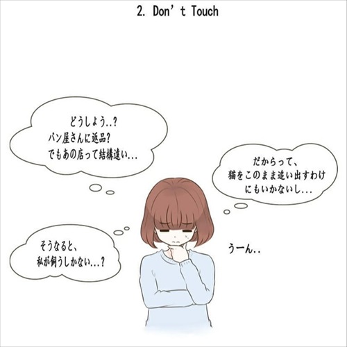 パウンドキャット