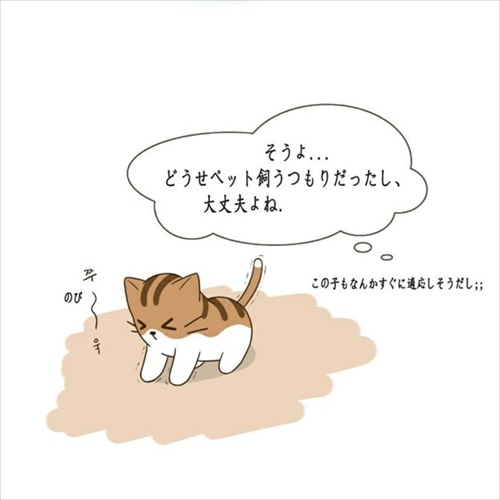パウンドキャット