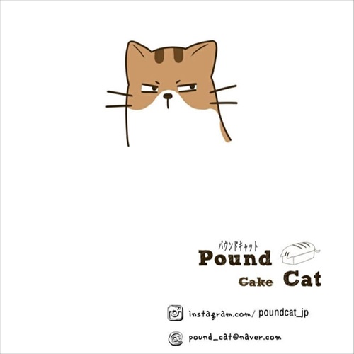 パウンドキャット