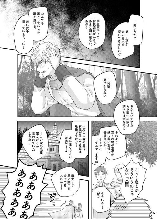 シンデレラ 王子様 魔法