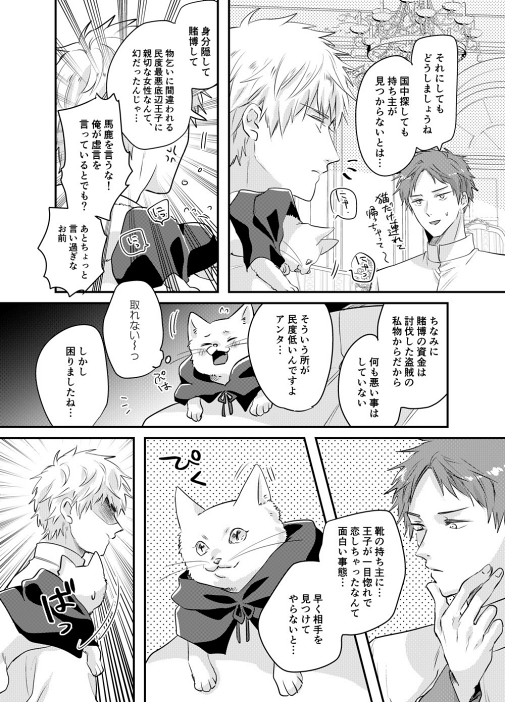 シンデレラ 王子様 魔法