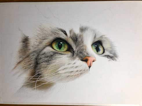 癒しの絵 色えんぴつ画 ネコちゃん 猫 絵画 子猫 イラスト 水彩色鉛筆 油彩色鉛筆 原画 ハチワレ猫