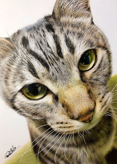 音海はる 猫 色鉛筆画 絵 リアル