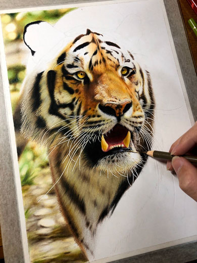 音海はる 猫 色鉛筆画 絵 リアル