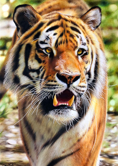 音海はる 猫 色鉛筆画 絵 リアル