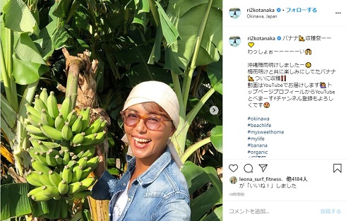 田中律子 沖縄 バナナ