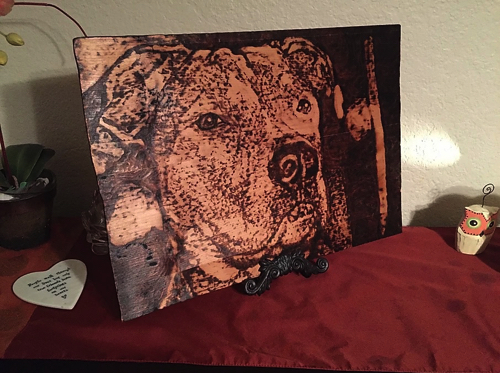 レンズで太陽光を集熱させて描くアート