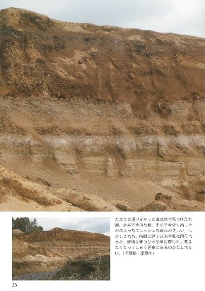 同人誌 図書館 司書