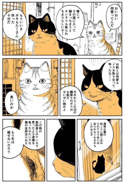 野良のボス猫が保護されようとする話