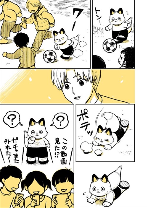 野良のボス猫が保護されようとする話